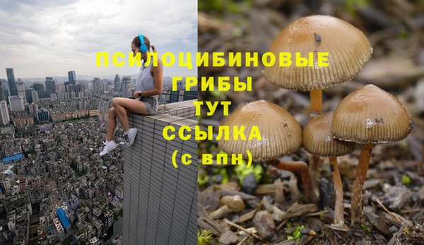 амфетамин Алексеевка
